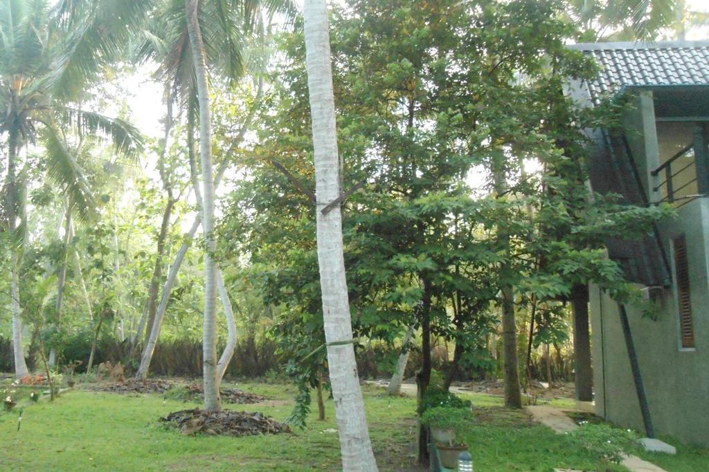Elegant Hamlets Home Stay Chilaw Bagian luar foto